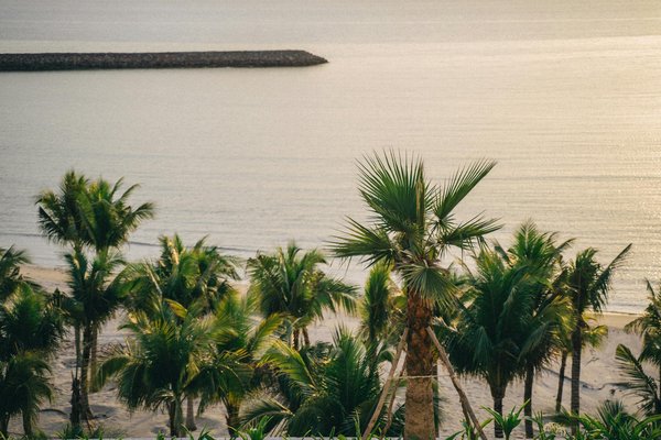 Où pratiquer le snorkeling au milieu des raies manta à Hawaii ?